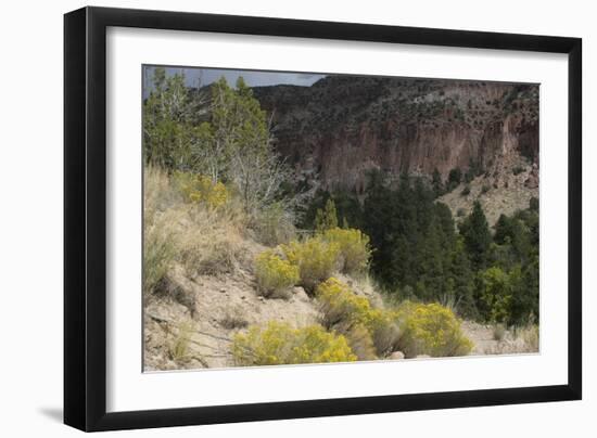 Frijoles Canyon, Bandelier National Monument, New Mexico-null-Framed Photographic Print