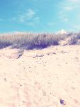 Dune on the Baltic Beach Close Graal-MŸritz-Frina-Photographic Print