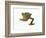 Fringed Gecko-Martin Harvey-Framed Photographic Print