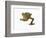 Fringed Gecko-Martin Harvey-Framed Photographic Print