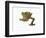 Fringed Gecko-Martin Harvey-Framed Photographic Print