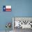 Frio River, Texas - Texas State Flag - Letterpress-Lantern Press-Mounted Art Print displayed on a wall