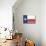 Frio River, Texas - Texas State Flag - Letterpress-Lantern Press-Mounted Art Print displayed on a wall