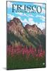 Frisco, Colorado - Fireweed and Mountains-Lantern Press-Mounted Art Print