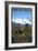 Frisco, Colorado - Mountain Bike and Mountains-Lantern Press-Framed Art Print