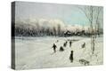 Stretched Canvas Print