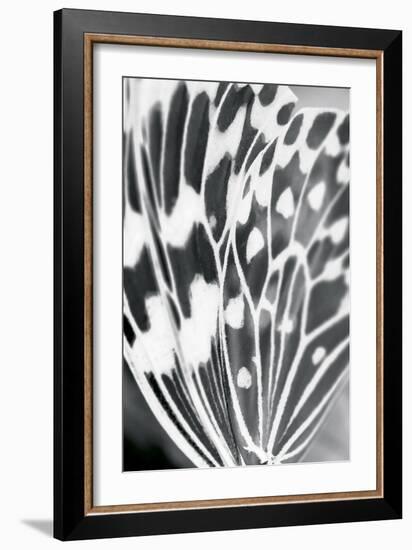 Fritillary-Ella Lancaster-Framed Giclee Print