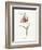 Fritillary-Gwendolyn Babbitt-Framed Art Print