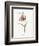 Fritillary-Gwendolyn Babbitt-Framed Art Print