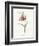 Fritillary-Gwendolyn Babbitt-Framed Art Print