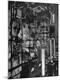 Photographic Print