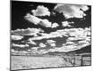 Photographic Print