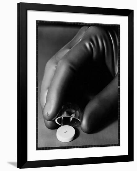 Photographic Print, , large
