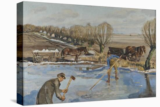 Stretched Canvas Print, , large