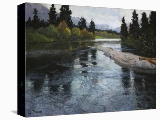 Stretched Canvas Print, , large