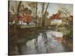Stretched Canvas Print