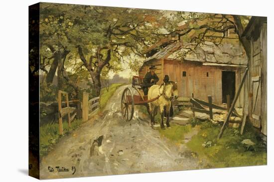 Stretched Canvas Print, , large