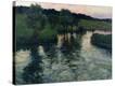 Stretched Canvas Print