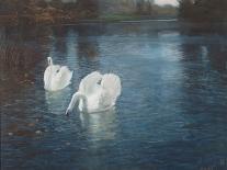 Swans on the River, C.1880-Fritz Thaulow-Giclee Print