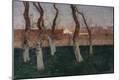 Giclee Print