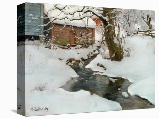 Stretched Canvas Print, , large
