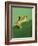 Frog Clinging to Leaf-David Aubrey-Framed Photographic Print