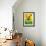 Frog Frolic - Playmate-William McLauchlan-Framed Giclee Print displayed on a wall
