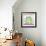 Frog In Clover-Valarie Wade-Framed Premium Giclee Print displayed on a wall