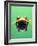 Frog in the water-Herbert Kehrer-Framed Photographic Print