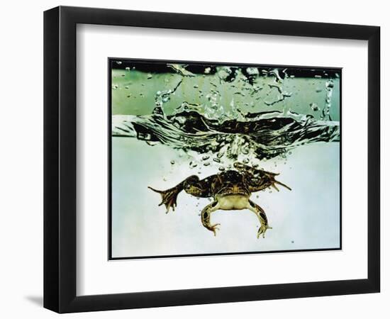 Frog Jumping Into an Aquarium-Gjon Mili-Framed Photographic Print