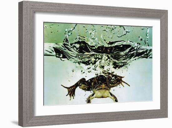 Frog Jumping Into an Aquarium-Gjon Mili-Framed Giclee Print