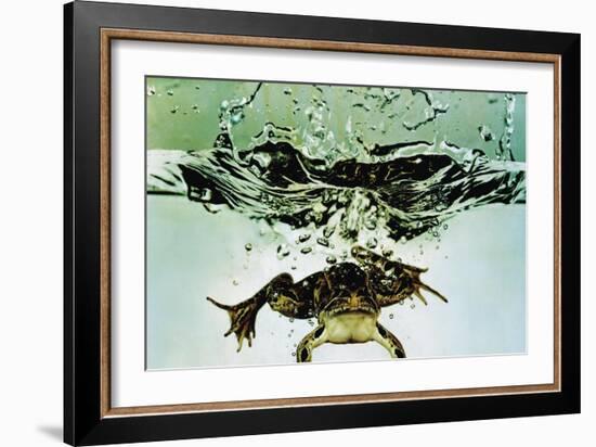 Frog Jumping Into an Aquarium-Gjon Mili-Framed Giclee Print