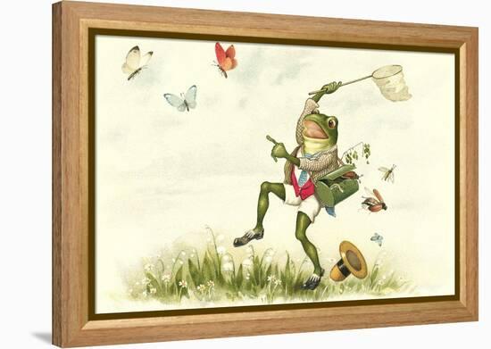 Frog Lepidopterist-null-Framed Stretched Canvas