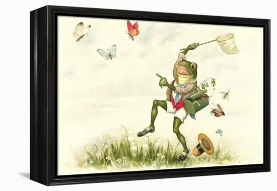 Frog Lepidopterist-null-Framed Stretched Canvas