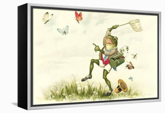 Frog Lepidopterist-null-Framed Stretched Canvas