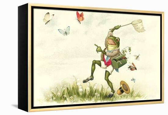 Frog Lepidopterist-null-Framed Stretched Canvas