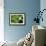 Frog Living Room-Michael Blanchette Photography-Framed Photographic Print displayed on a wall