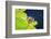 Frog On Lily Pad, Usa-Lisa S. Engelbrecht-Framed Photographic Print