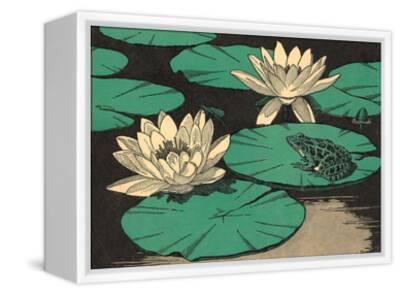 Frog On Lily Pad Art Print Art Com