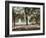 Frog Pond-null-Framed Premium Giclee Print