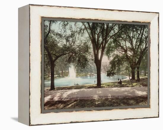 Frog Pond-null-Framed Stretched Canvas