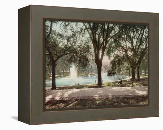 Frog Pond-null-Framed Stretched Canvas