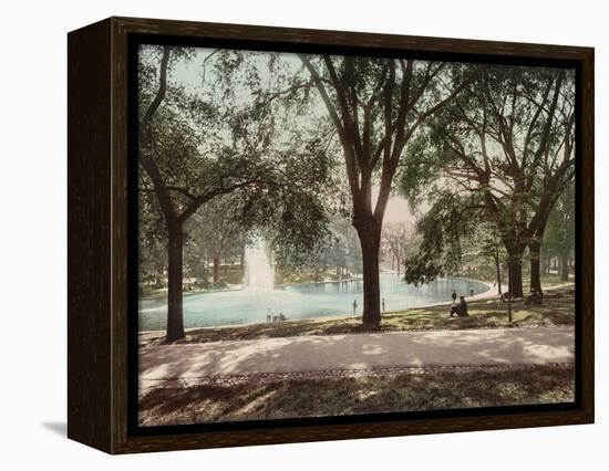 Frog Pond-null-Framed Stretched Canvas