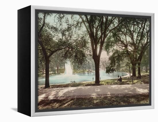 Frog Pond-null-Framed Stretched Canvas