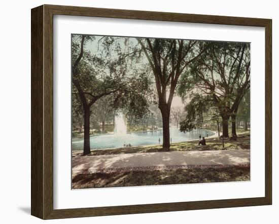 Frog Pond-null-Framed Art Print