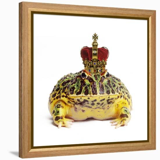 Frog Prince Wearing Crown-Andy and Clare Teare-Framed Premier Image Canvas