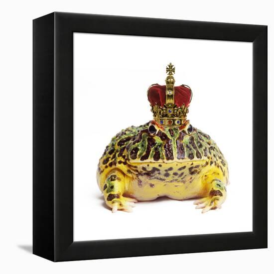 Frog Prince Wearing Crown-Andy and Clare Teare-Framed Premier Image Canvas