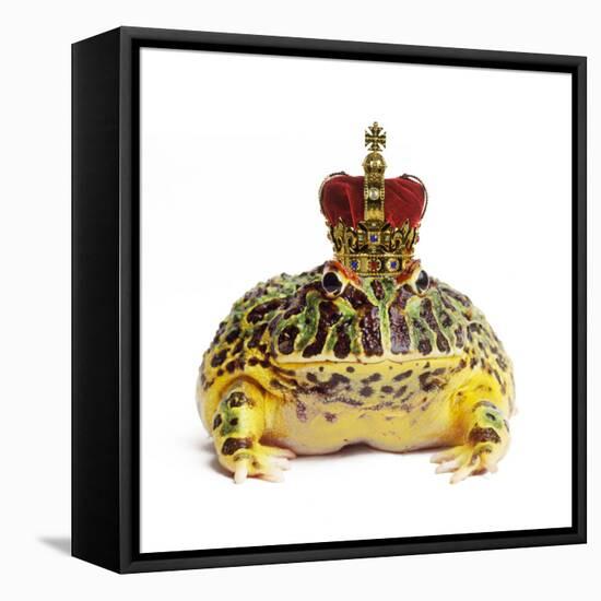 Frog Prince Wearing Crown-Andy and Clare Teare-Framed Premier Image Canvas