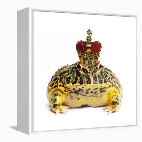 Frog Prince Wearing Crown-Andy and Clare Teare-Framed Premier Image Canvas