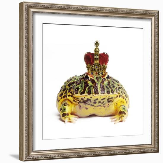 Frog Prince Wearing Crown-Andy and Clare Teare-Framed Photographic Print